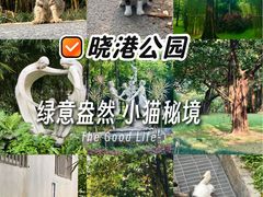 -晓港公园