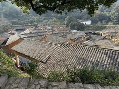 -杨家堂村