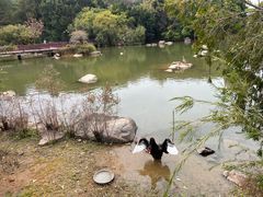 -厦门悦华酒店