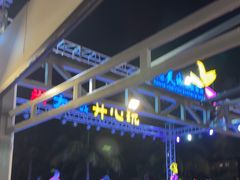 -渔家火锅·海鲜自助餐·演艺(亚龙湾天域酒店)
