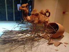 -西安大唐西市博物馆