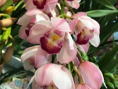 -双季花艺园艺市场(浦东店)