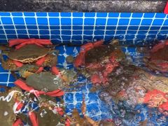-红月湾海鲜饭店•沙滩海景(双月湾店)
