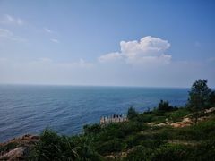 -广东惠东海龟国家级自然保护区