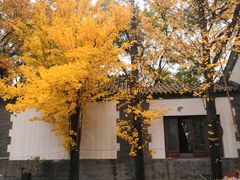 -北京鹫峰国家森林公园