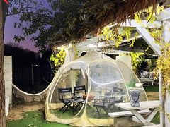 -安德鲁户外烧烤帐篷营地(马泉营店)