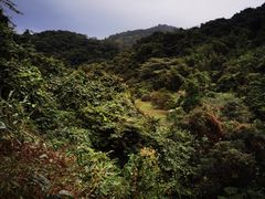 -梧桐山风景名胜区