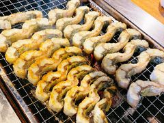 -小麦岛公园