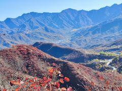 -水峪民俗村
