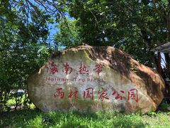 -海南热带雨林国家公园吊罗山景区