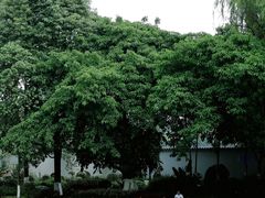 -成都市文化公园