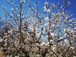 点击看大图 -大望京儿童游乐场