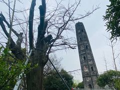 -上海佘山国家森林公园天马山园