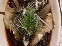 -高老庄绿色传奇(昊元生活广场店)