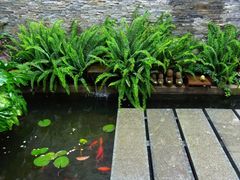 -兰纳泰式spa(古城店)