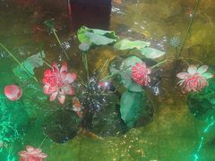 -玉田印象