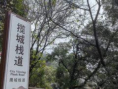 -金鸡山公园