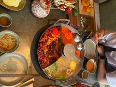 -山悦里 山野·鲜火锅(罗斯福广场店)