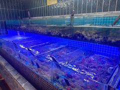 -海韵之星邮轮水会(明发商业广场店)