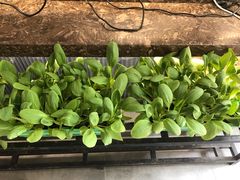 -火候轩品质湘菜·私厨(市府店)