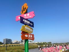 -春花秋色城市公园