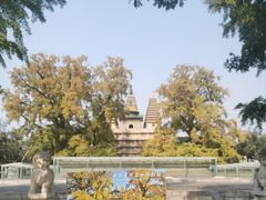 -北京石刻艺术博物馆(五塔寺)