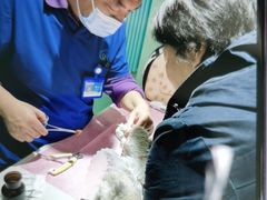 -北京观赏动物医院·24小时大型综合·猫专科·异宠专科