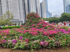 -海心沙亚运公园