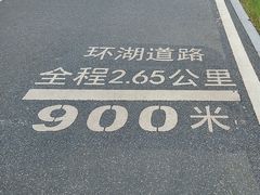 -海珠湖公园