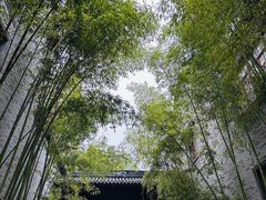 -龙潭水乡