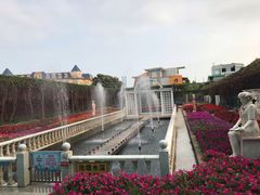 -百万葵园