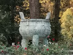 -韶关经律论国际酒店温泉