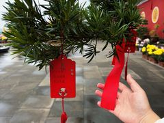 -乐山大佛风景名胜区乌尤寺南门-售票点