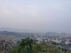 -福道
