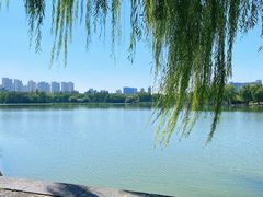 -洛阳市隋唐城遗址植物园