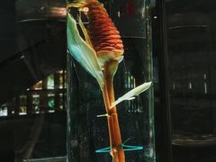 -广东中医药博物馆