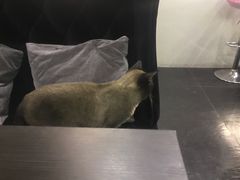 -吱咖啡西式简餐