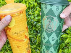 -奈雪的茶(中洲πmall店)