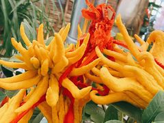 -金陵花卉交易市场