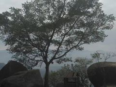 -云洞岩风景区