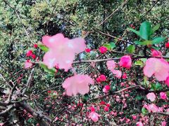 -白塘生态植物园