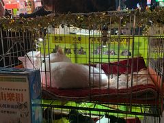 -罗东夜市