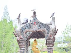 -古德寺