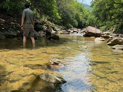 -广州白江湖森林公园