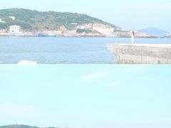 -枸杞岛