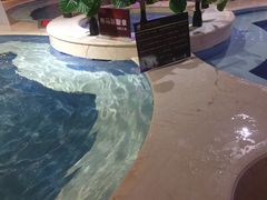 -水晶之星洗浴温泉汗蒸