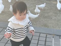 -东台西溪天仙缘景区
