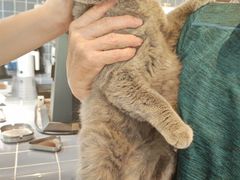 -微焙咖啡工厂(海峡创意产业园·红坊店)