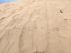 -银肯塔拉沙漠生态旅游景区