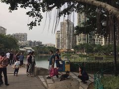 -江头公园